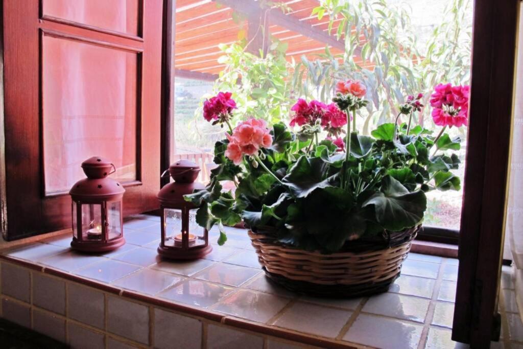 Casa Rural La Pitanga 埃尔米瓜 外观 照片