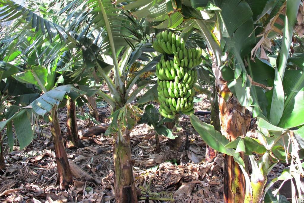 Casa Rural La Pitanga 埃尔米瓜 外观 照片