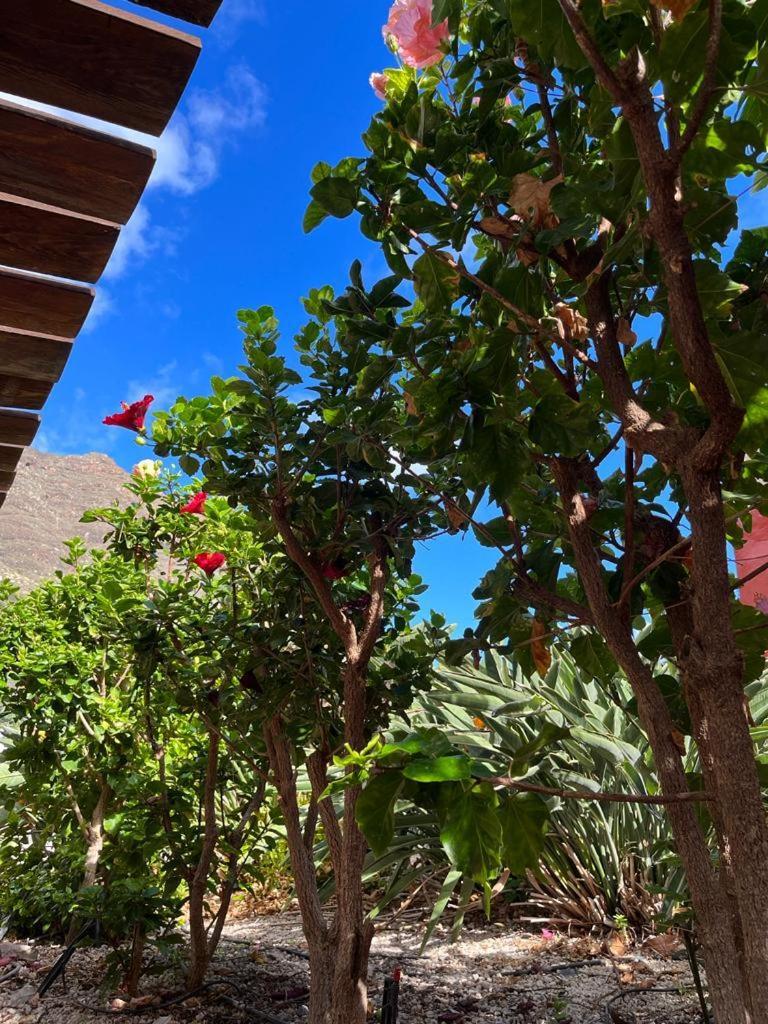 Casa Rural La Pitanga 埃尔米瓜 外观 照片