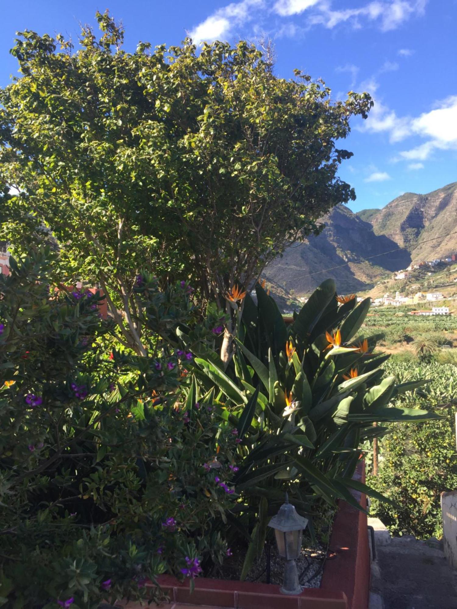 Casa Rural La Pitanga 埃尔米瓜 外观 照片